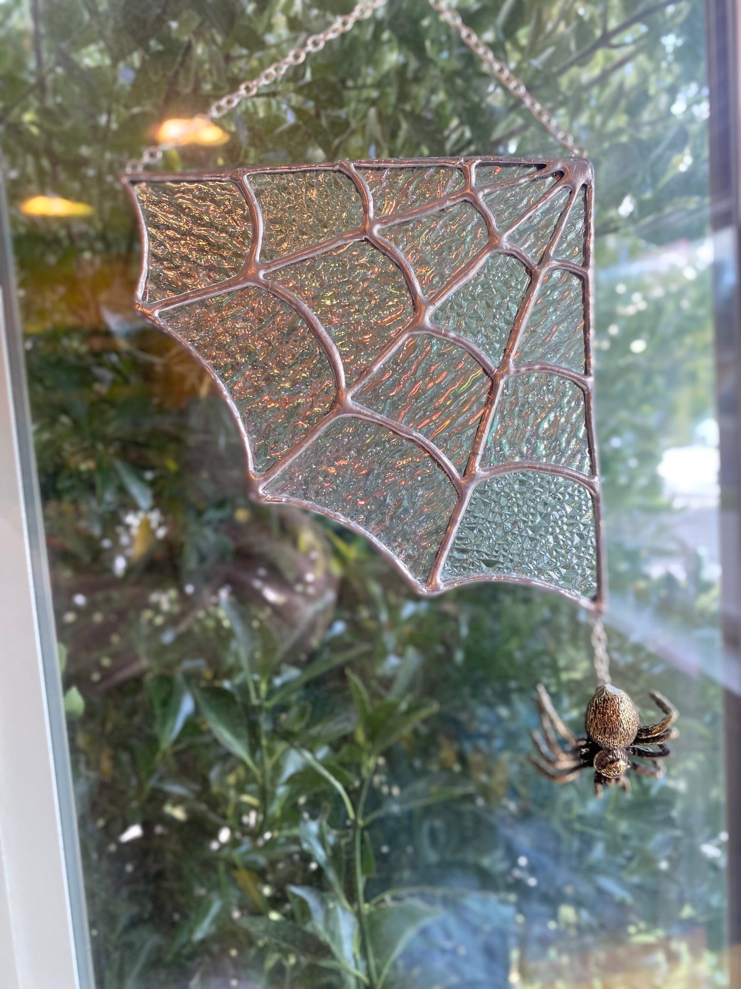 Spider Web