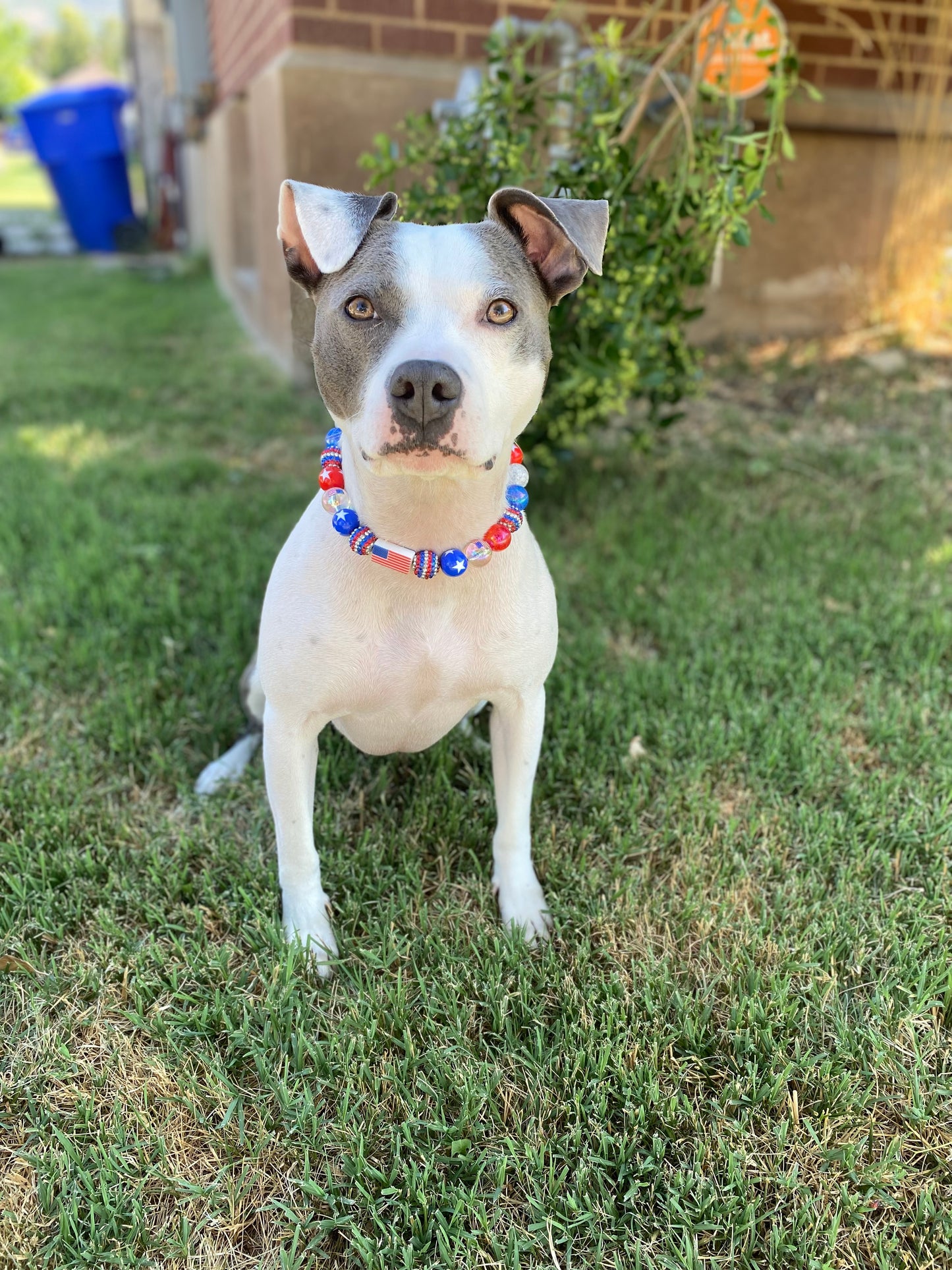 Patriotic
