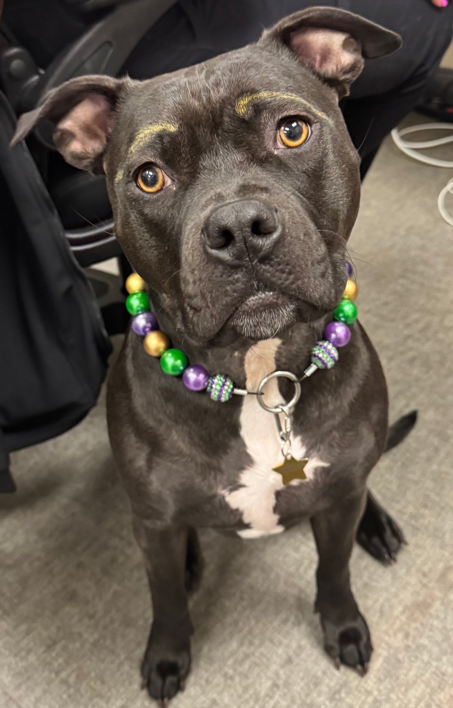 Mardi Gras Pearls