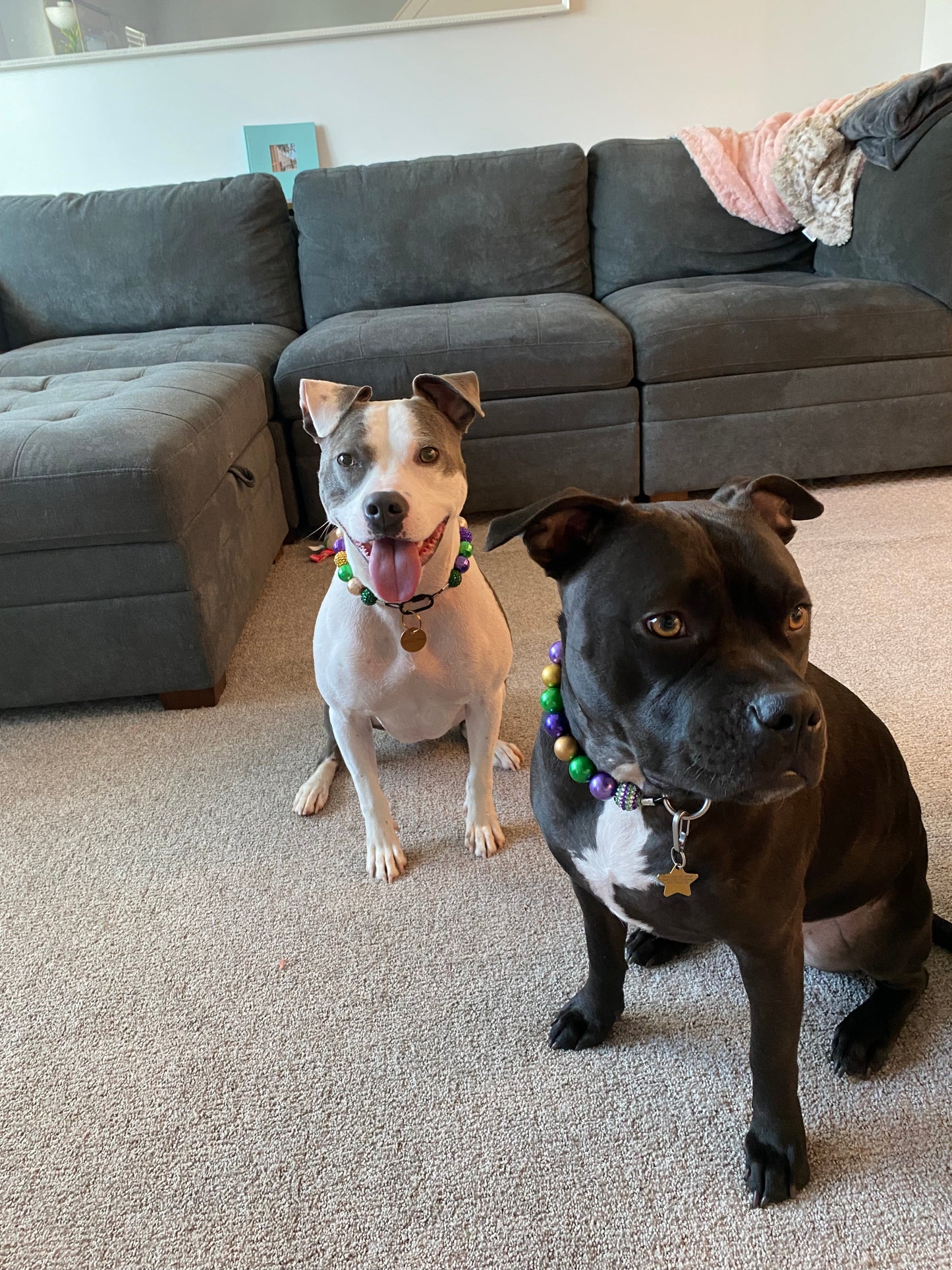 Mardi Gras