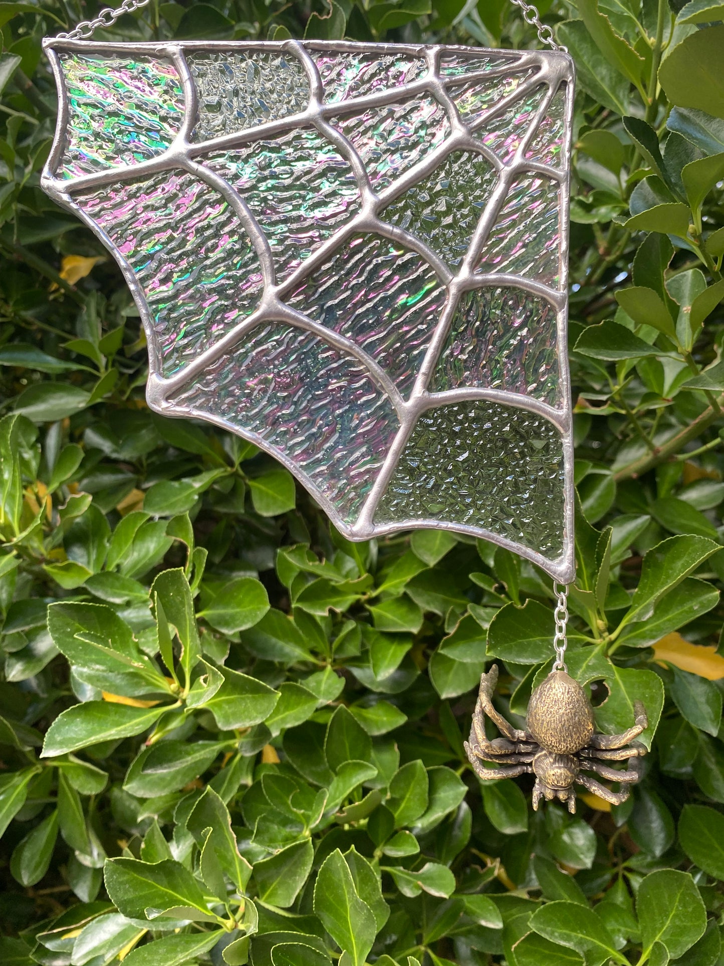 Spider Web