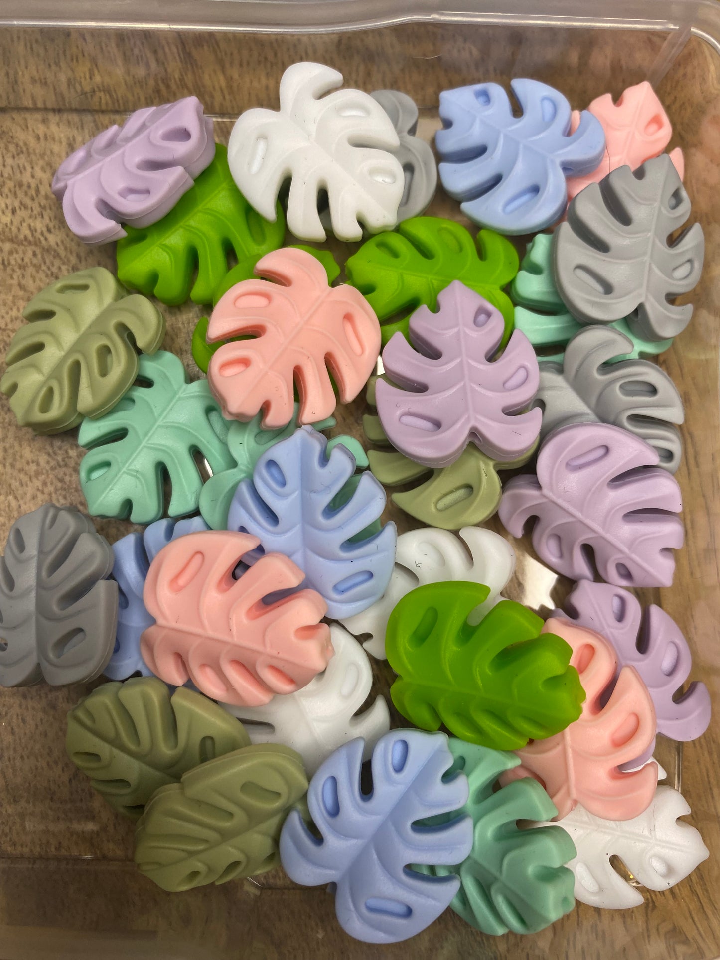 Monstera Madness