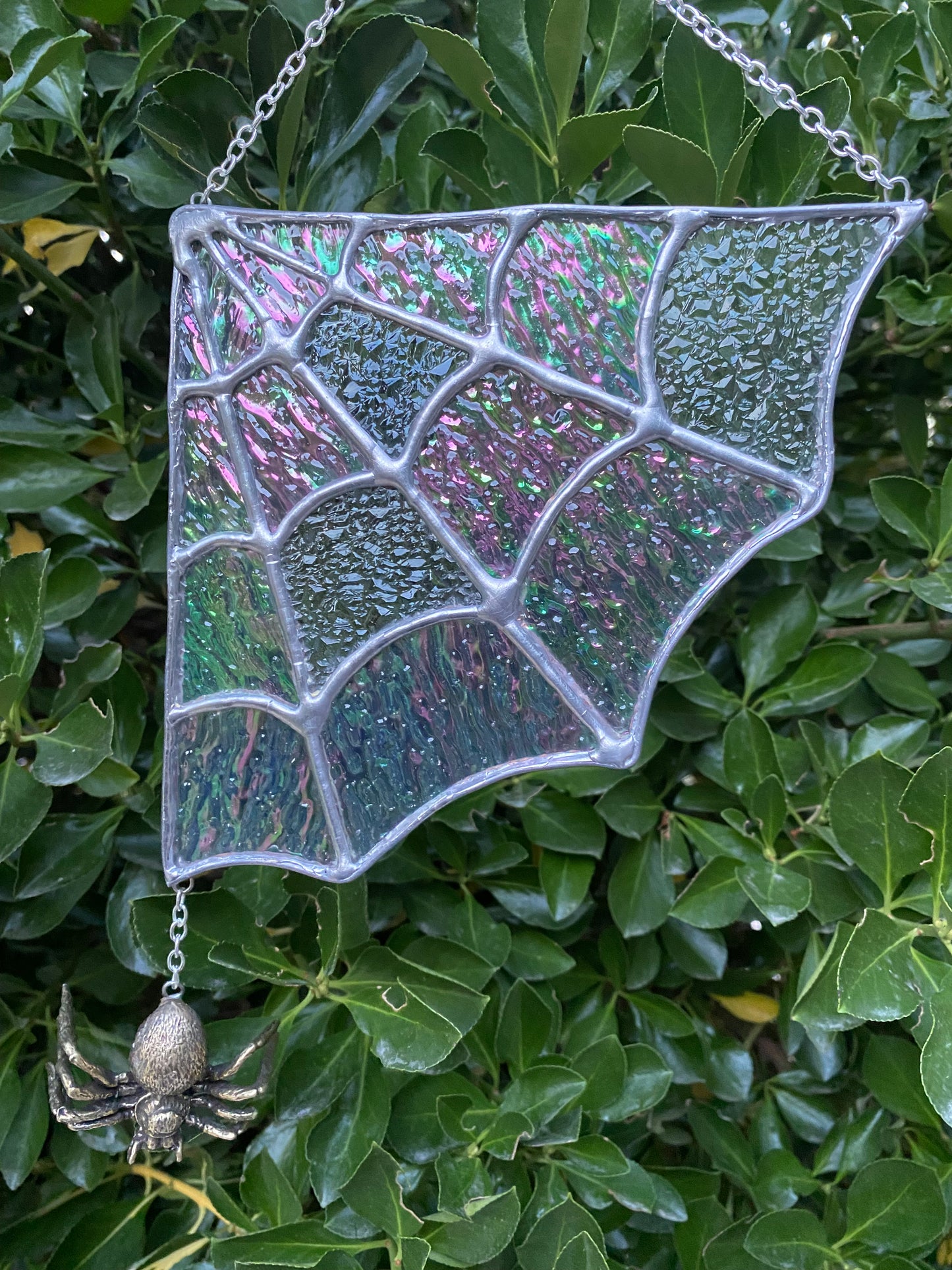 Spider Web