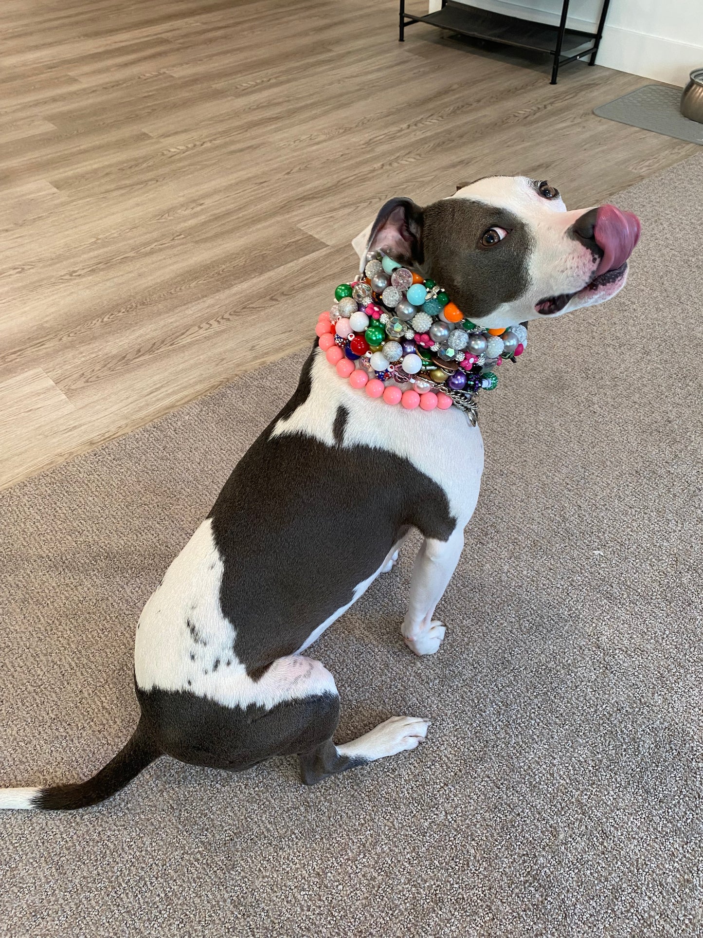 Create Your Own Collar