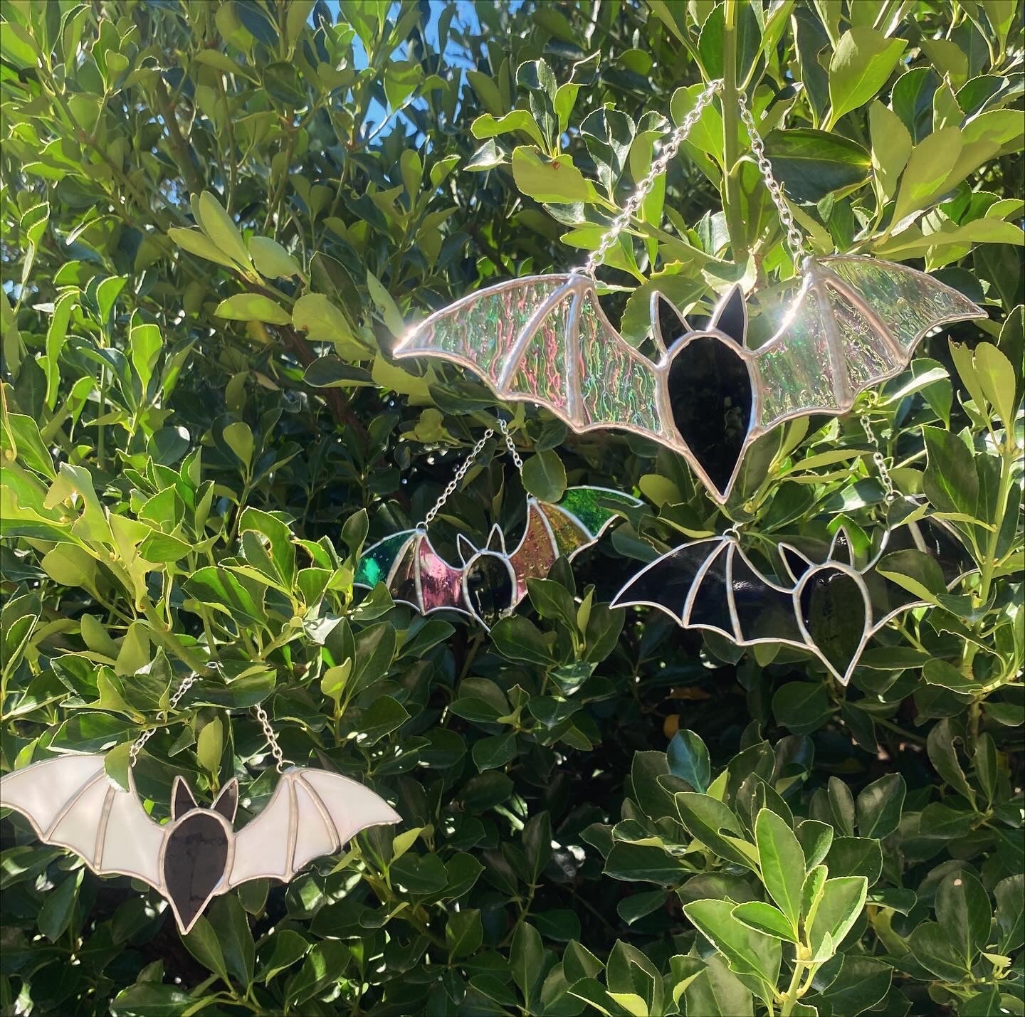 Spooky Bat