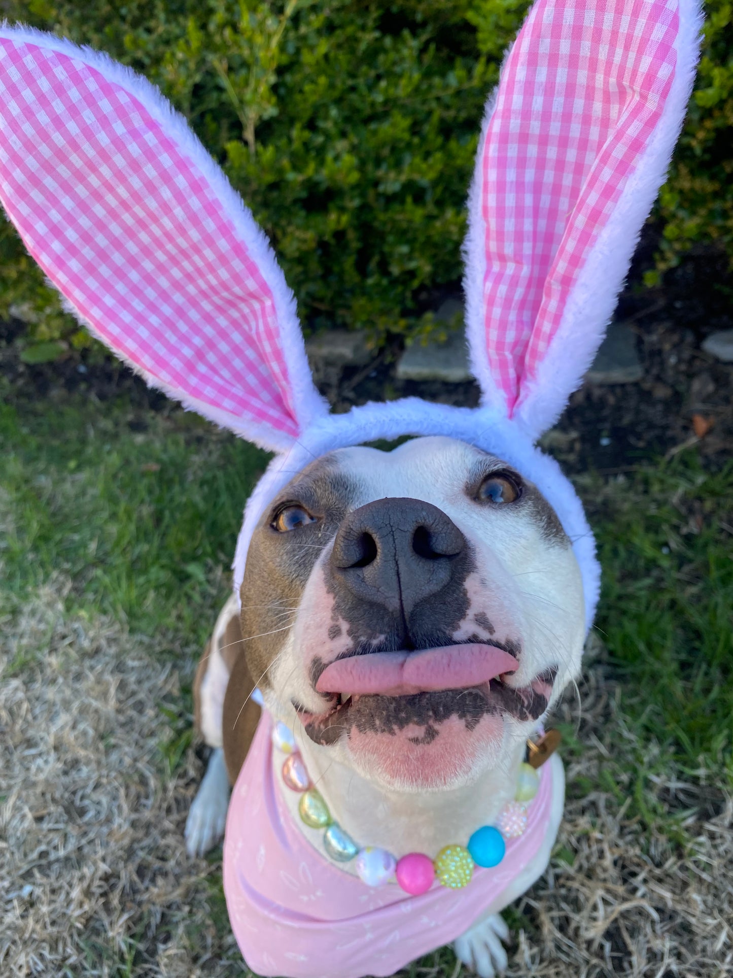 Easter