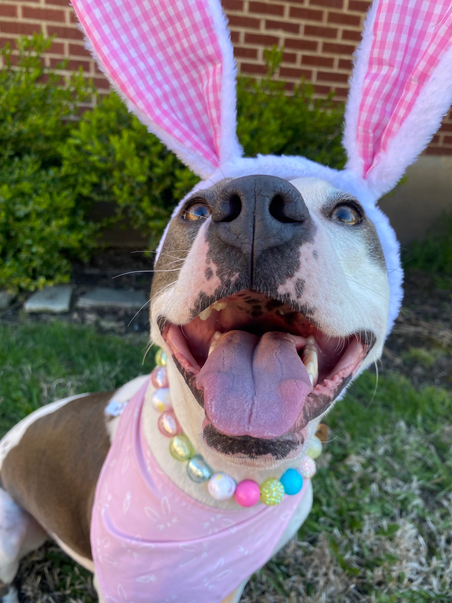 Easter
