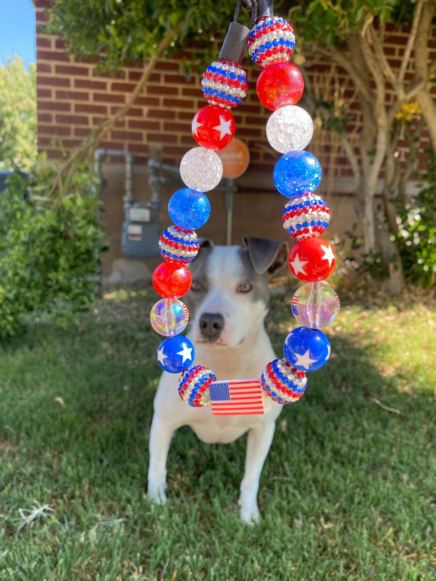 Patriotic