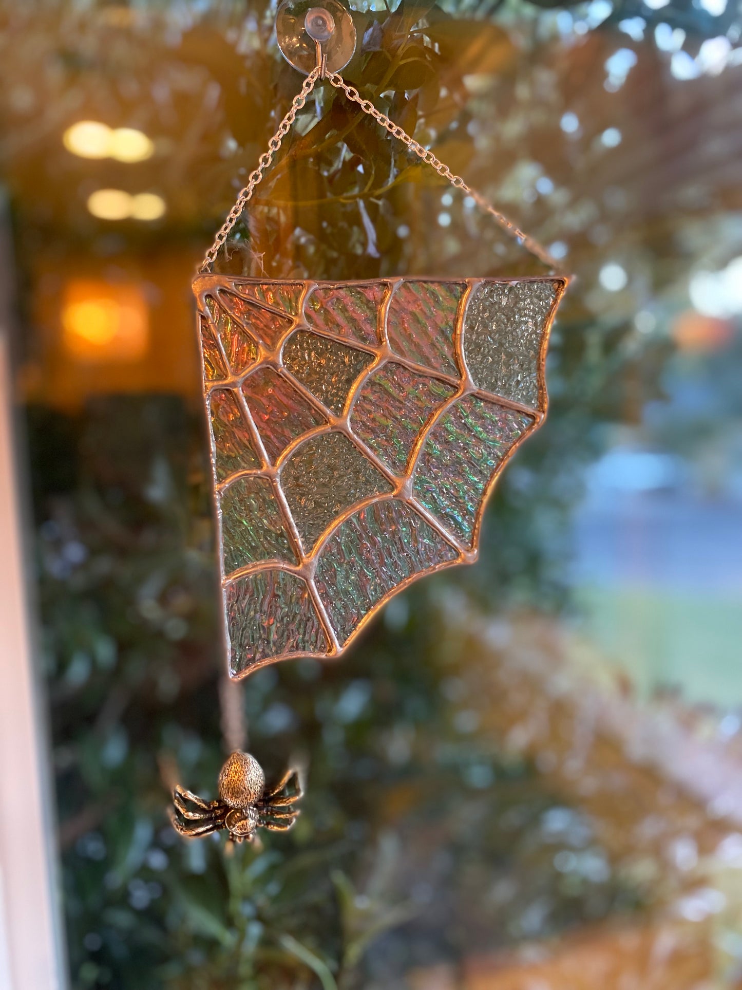 Spider Web