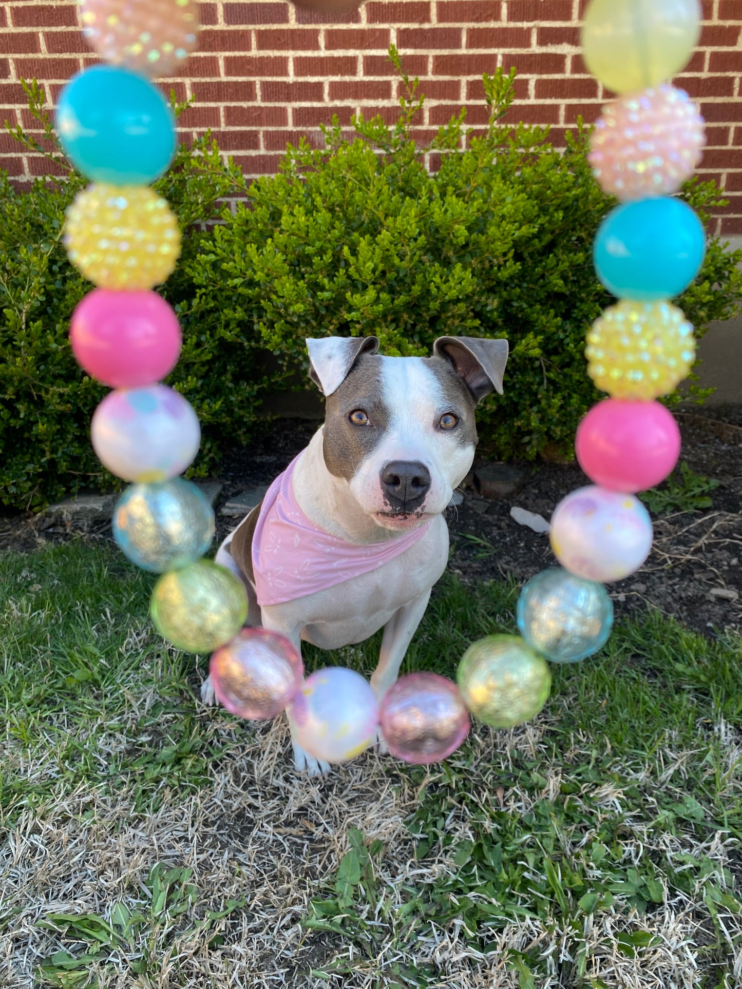 Easter