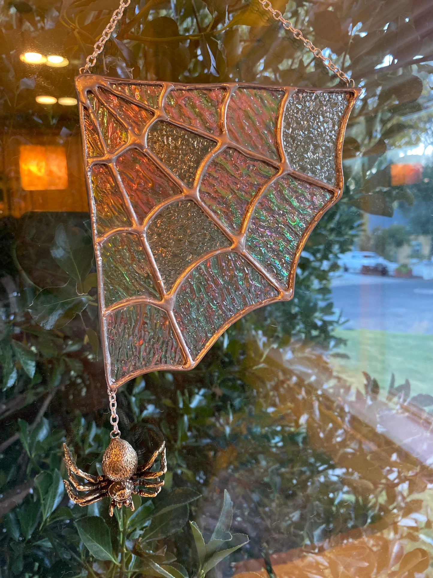 Spider Web