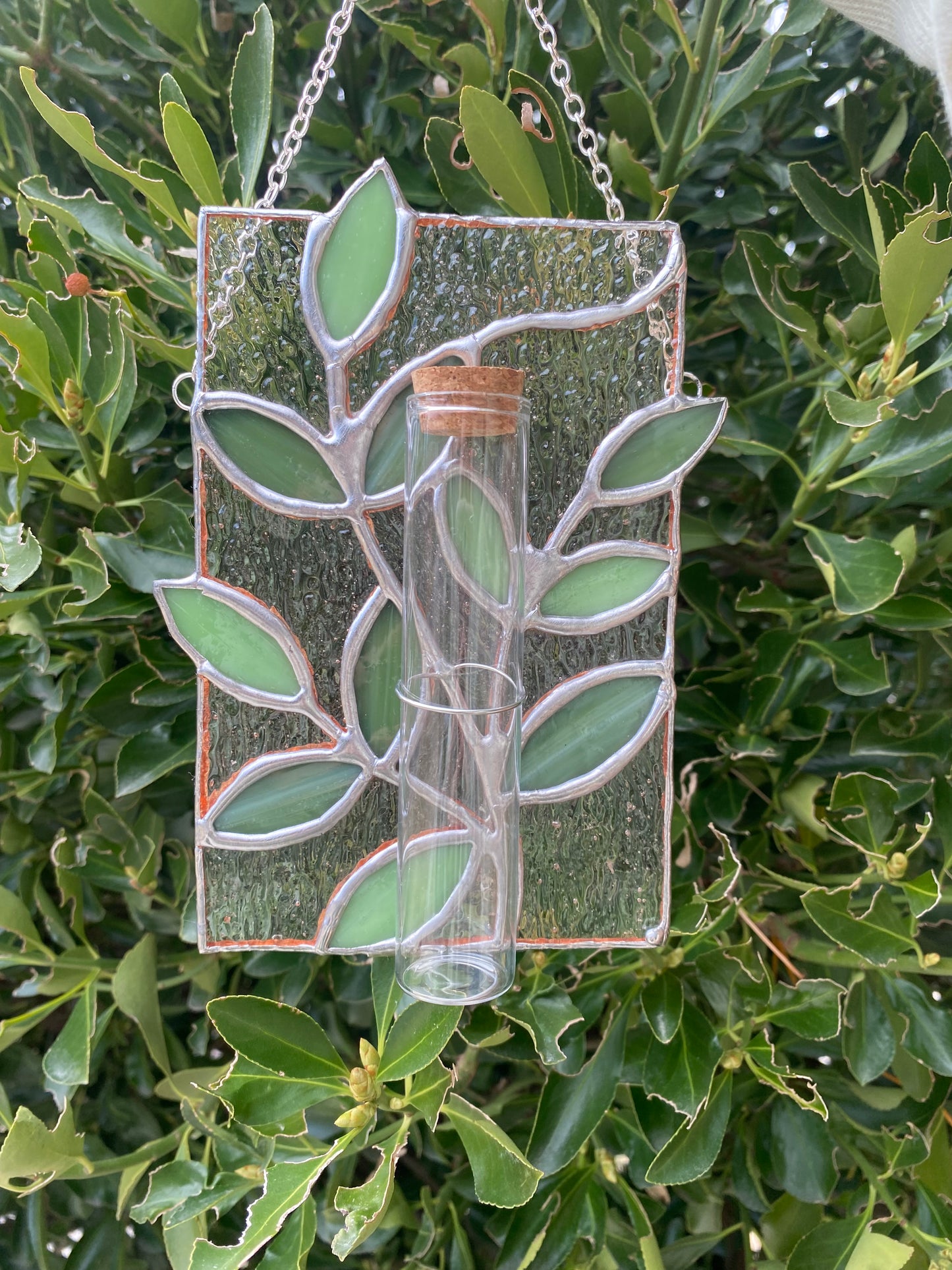 Leaf propagation station