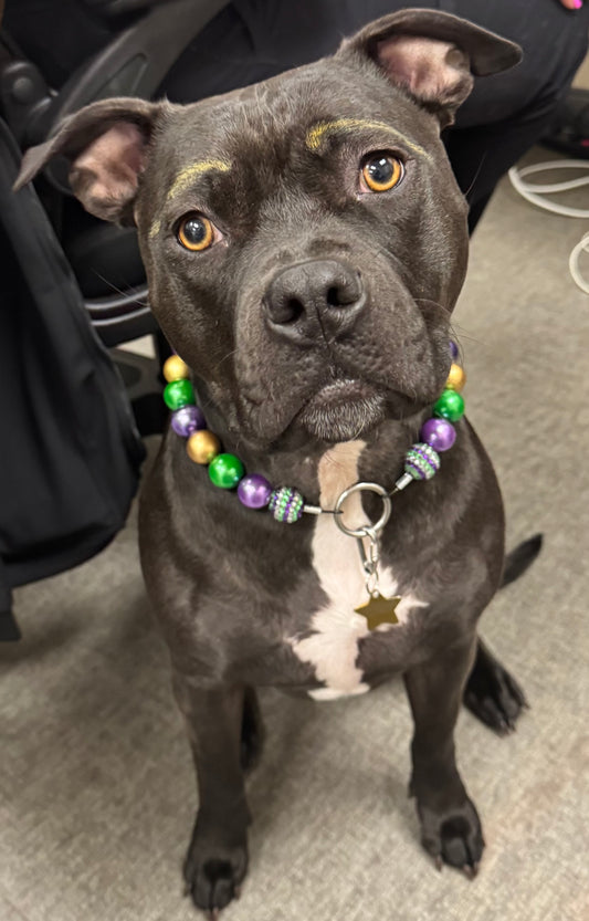 Mardi Gras Pearls