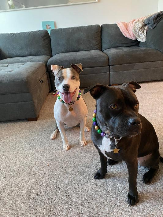 Mardi Gras