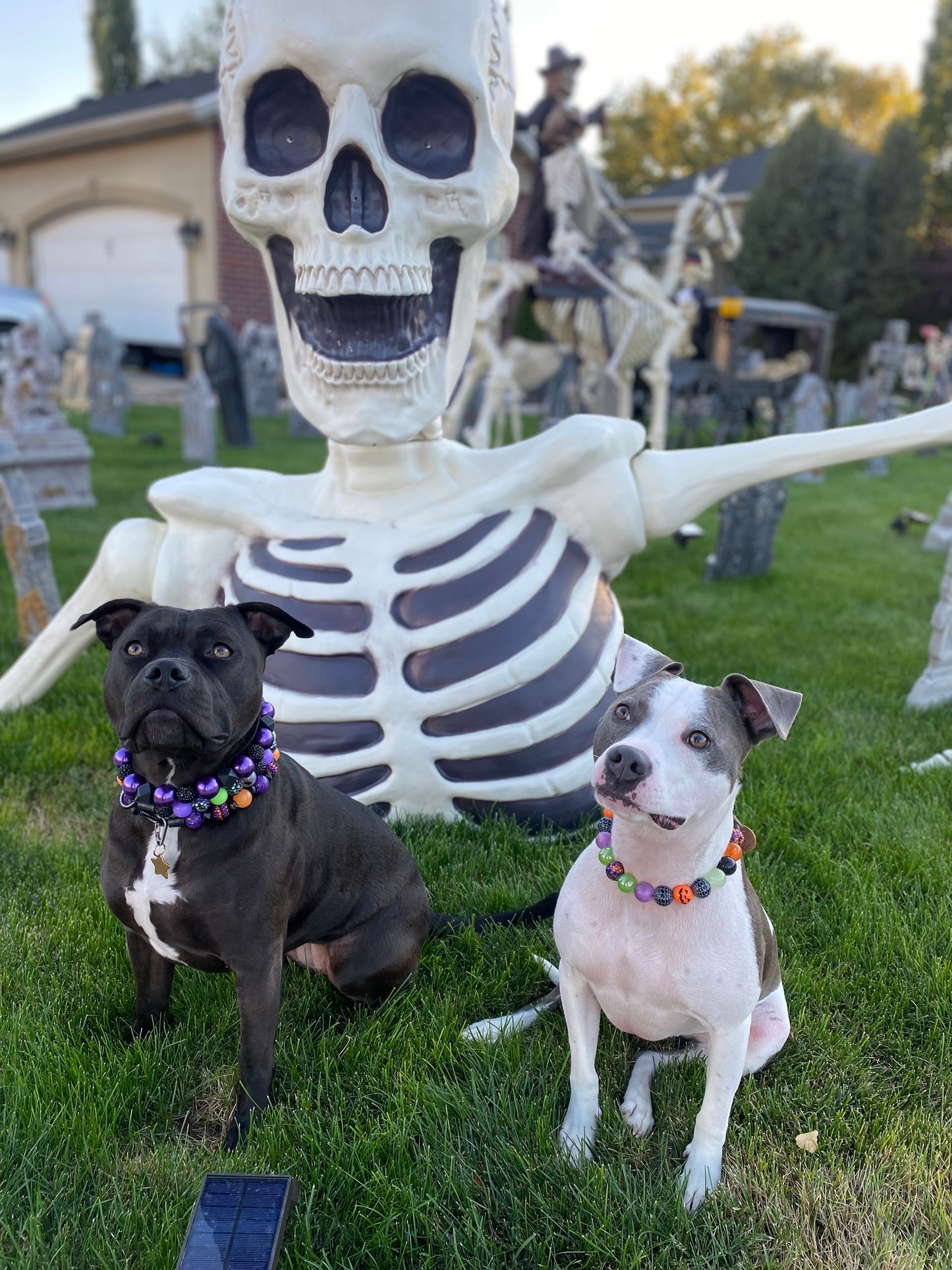 Halloween Pearls