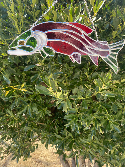 Salmon