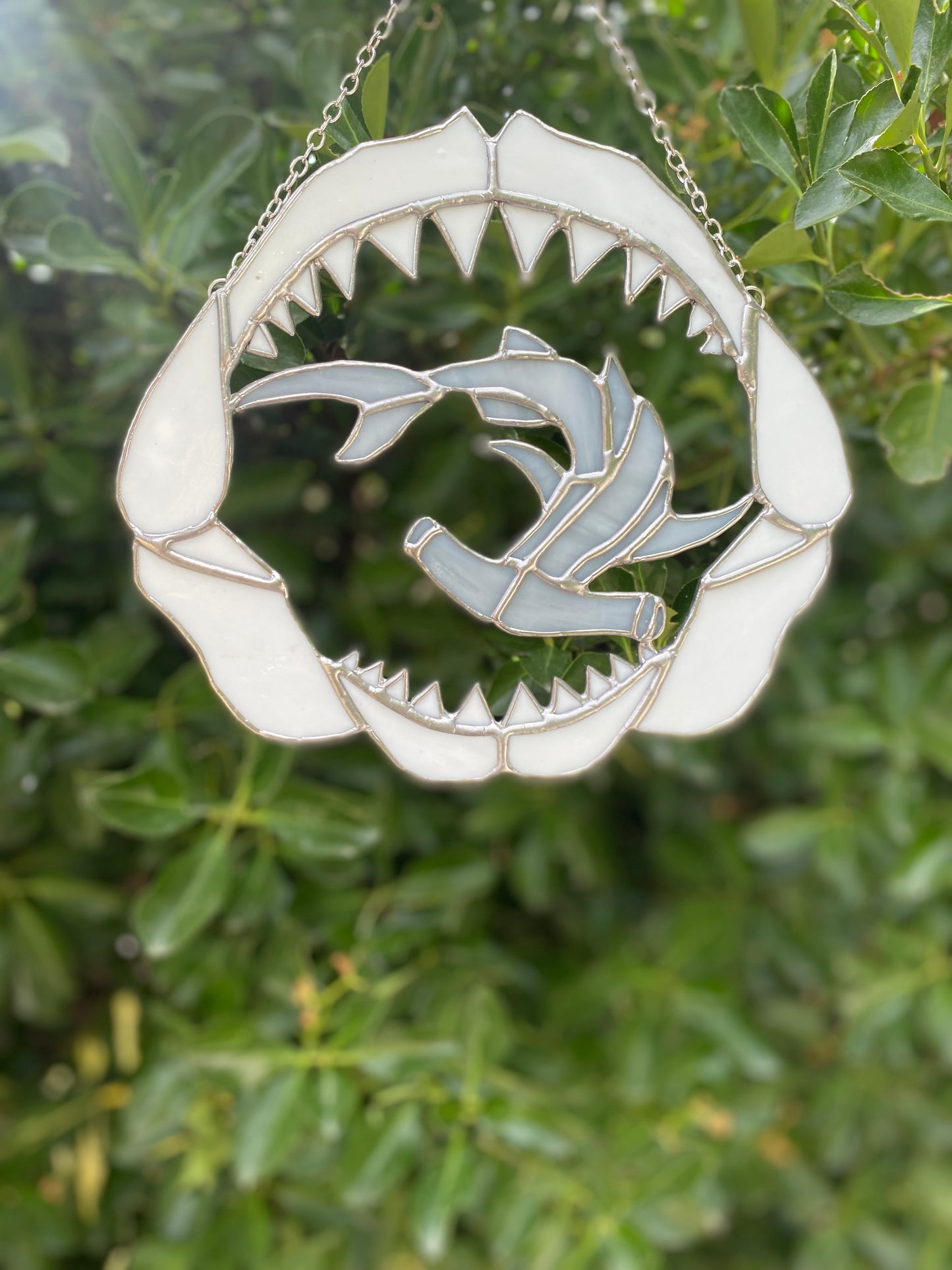 Hammerhead Shark