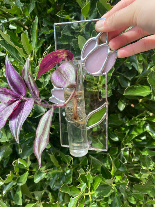 Tulip propagation station