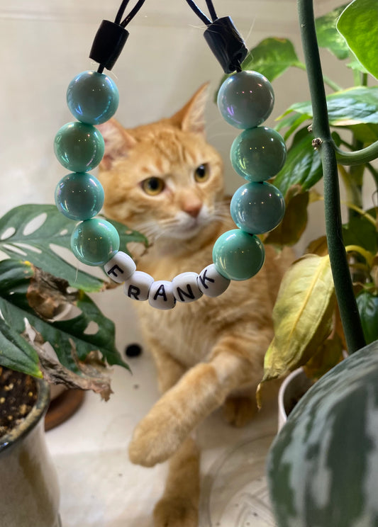 For the Felines